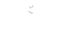 Bare Barbies logo in white