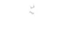 Bare Barbies logo in white